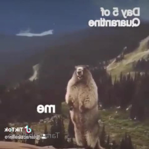 Video by taracaballero published on May 16,2023 05:23:00 - BestThots