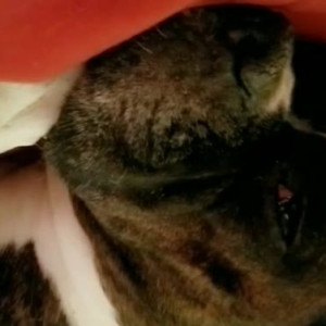 Video by taracaballero published on August 15,2023 23:16:00 - BestThots