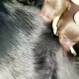 Video by taracaballero published on July 25,2023 10:10:00 - BestThots