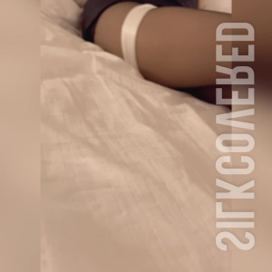 silkcovered #4297149