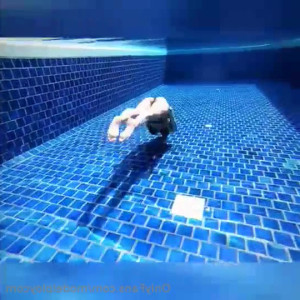 Video by ploytigerstam published on March 8,2023 02:48:00 - BestThots