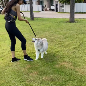 Video by ploytigerstam published on July 26,2023 06:32:00 - BestThots