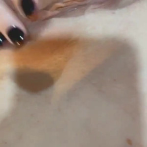 Video by mrsrobinsonvip published on April 14,2023 13:17:00 - BestThots