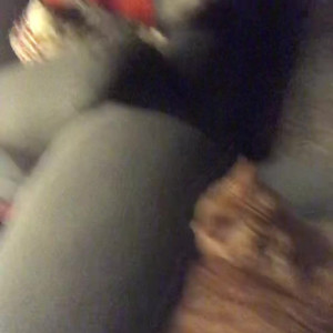 Video by calilogan published on June 23,2023 22:08:00 - BestThots