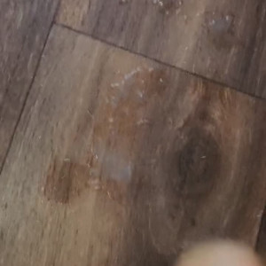 Video by tstxkyodoll published on October 16,2023 13:37:16 - BestThots