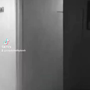 Video by fleshxfur published on October 16,2023 14:02:41 - BestThots