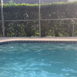Video by kingnoire published on June 17,2023 14:19:00 - BestThots