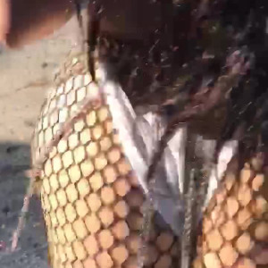 Video by camiraddd published on June 11,2023 04:44:00 - BestThots