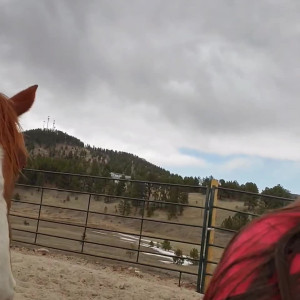Video by amarie301 published on April 4,2023 18:08:00 - BestThots