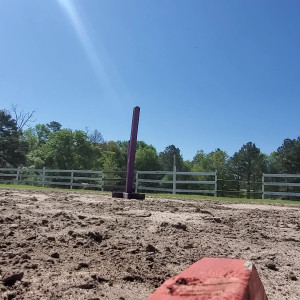 Video by amarie301 published on August 18,2023 15:21:00 - BestThots