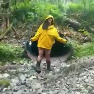 Video by zorystardust published on May 1,2023 10:49:00 - BestThots