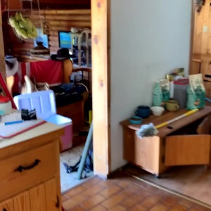 zorystardust #3946474