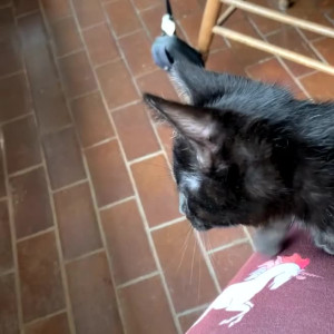 Video by zorystardust published on May 7,2023 14:08:00 - BestThots