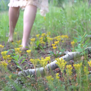 Video by clairezeal published on May 11,2023 11:54:00 - BestThots