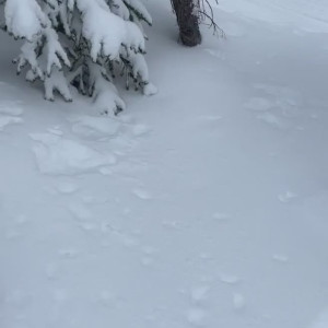 Video by clairezeal published on June 16,2023 07:48:00 - BestThots