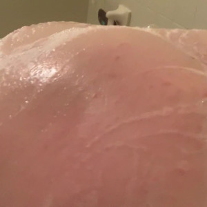 sagefoxofficial #4151761
