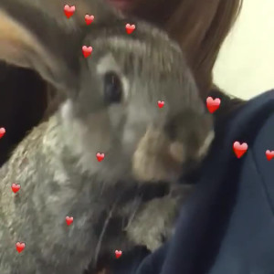Video by vallera_sg published on March 7,2023 10:32:00 - BestThots