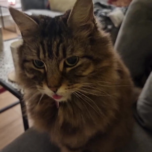 Video by amorina published on June 24,2023 10:50:00 - BestThots