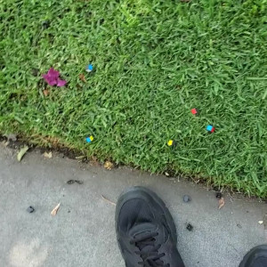 Video by longfootlola published on July 3,2023 13:54:00 - BestThots