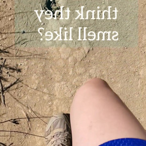 Video by longfootlola published on April 6,2023 16:34:00 - BestThots