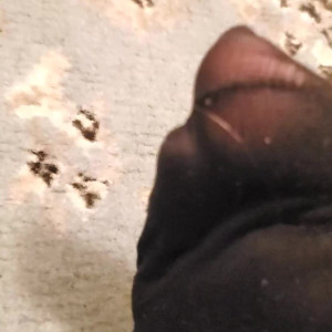 Video by longfootlola published on May 13,2023 08:48:00 - BestThots