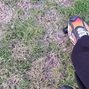 Video by longfootlola published on May 19,2023 07:14:00 - BestThots