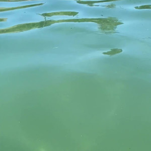 Video by vancouvermadam published on August 9,2023 07:08:00 - BestThots