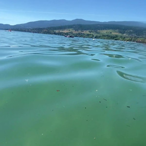 Video by vancouvermadam published on May 11,2023 15:32:00 - BestThots