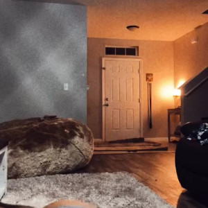 Video by kaybooz published on August 21,2023 09:54:00 - BestThots