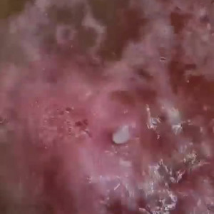 Video by anna_monik published on November 21,2023 10:30:55 - BestThots