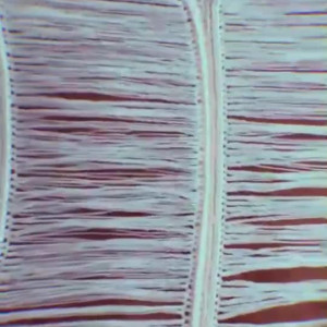 Video by jameelahh published on October 16,2023 14:32:08 - BestThots
