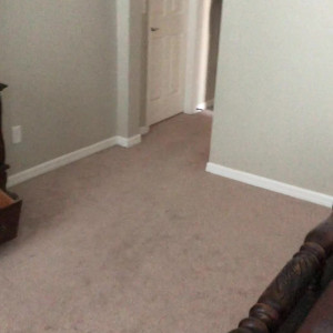 Video by eevee_bee published on August 9,2023 02:50:00 - BestThots