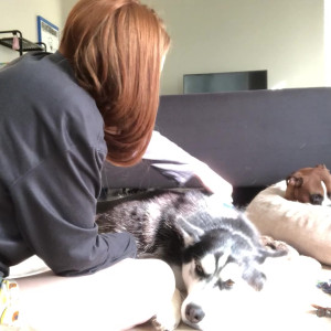 Video by eevee_bee published on October 16,2023 15:56:41 - BestThots