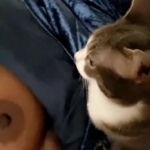 Video by kendrahart21 published on May 11,2023 17:08:00 - BestThots
