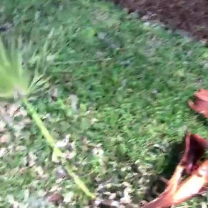 Video by brandilovefreee published on August 16,2023 16:04:59 - BestThots