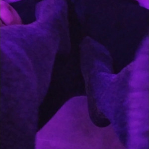 Video by pityk_cb published on May 14,2023 10:41:00 - BestThots
