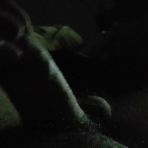 precumtherapy #4643275