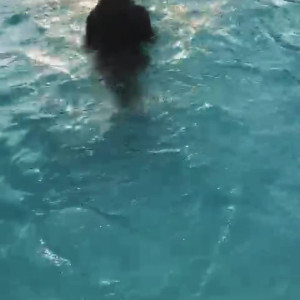 Video by thayspezzini18 published on April 8,2023 03:14:00 - BestThots