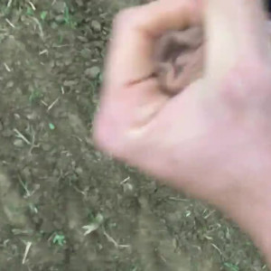 Video by maxsmall published on April 20,2023 15:16:00 - BestThots