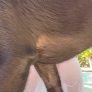 Video by sneesnaw published on May 4,2023 20:53:00 - BestThots