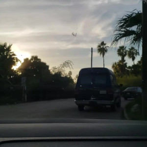 Video by kaylacoyote published on November 20,2023 04:04:41 - BestThots