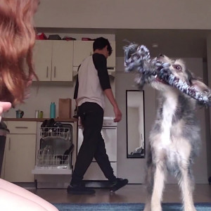 Video by kaylacoyote published on November 20,2023 04:04:13 - BestThots