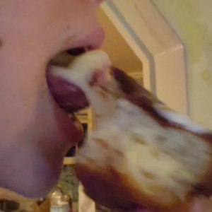 Video by kaylacoyote published on November 20,2023 04:13:34 - BestThots