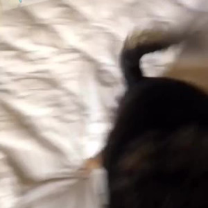 Video by nancymiami published on March 15,2023 22:32:00 - BestThots