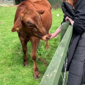 Video by gingerminniemfc published on October 26,2023 13:26:35 - BestThots