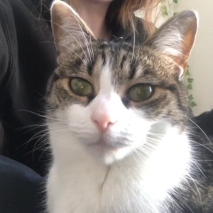 Video by gingerminniemfc published on October 26,2023 13:32:22 - BestThots