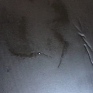 Video by gingerminniemfc published on October 26,2023 13:33:25 - BestThots