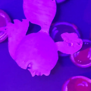 Video by missmyrcene23 published on August 2,2023 00:31:00 - BestThots