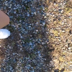 Video by honeysmoney published on October 26,2023 14:53:22 - BestThots