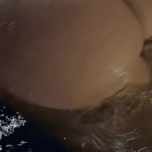 Video by sheridanlove published on April 22,2023 18:48:00 - BestThots